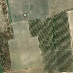 Satellite imagery of survey_point, DZ
