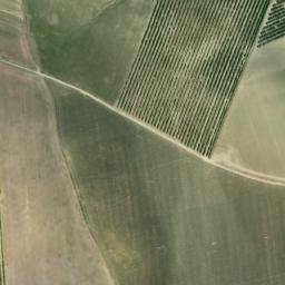 Satellite imagery of survey_point, DZ