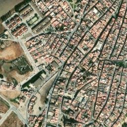 Satellite imagery of survey_point, DZ