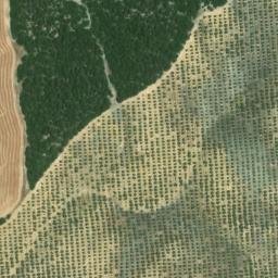 Satellite imagery of survey_point, DZ