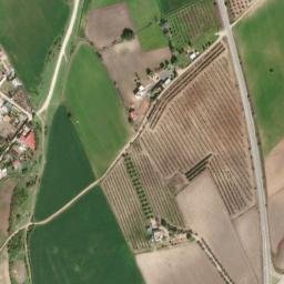 Satellite imagery of survey_point, DZ