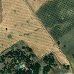 Satellite imagery of survey_point, DZ