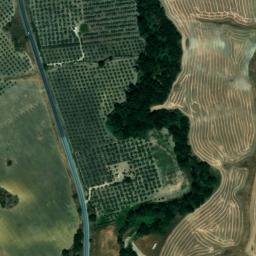 Satellite imagery of survey_point, DZ