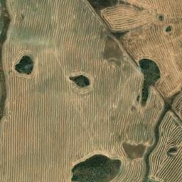 Satellite imagery of survey_point, DZ