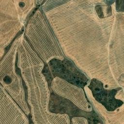 Satellite imagery of survey_point, DZ
