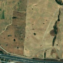 Satellite imagery of survey_point, DZ