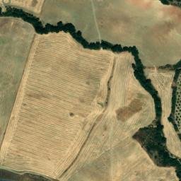 Satellite imagery of survey_point, DZ