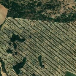 Satellite imagery of survey_point, DZ