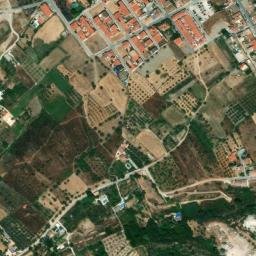 Satellite imagery of survey_point, DZ