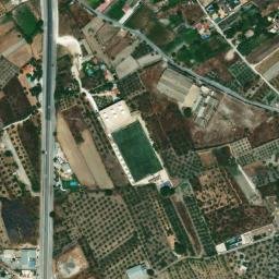 Satellite imagery of survey_point, DZ