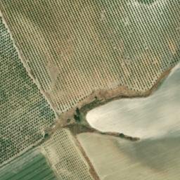 Satellite imagery of survey_point, DZ