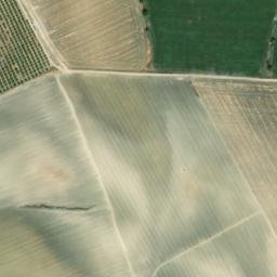 Satellite imagery of survey_point, DZ
