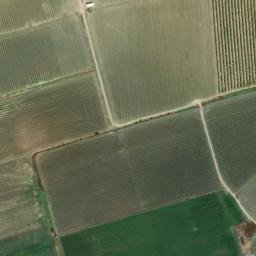 Satellite imagery of survey_point, DZ