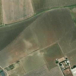 Satellite imagery of survey_point, DZ