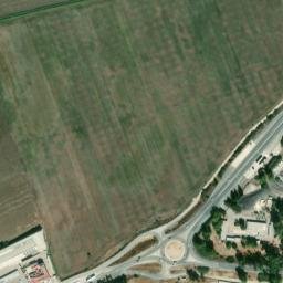Satellite imagery of survey_point, DZ