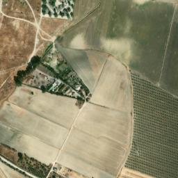 Satellite imagery of survey_point, DZ