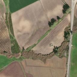 Satellite imagery of survey_point, DZ