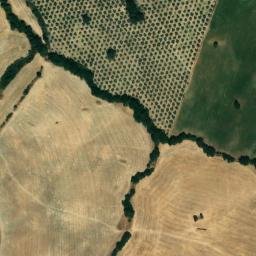 Satellite imagery of survey_point, DZ