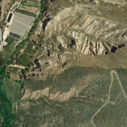 Satellite imagery of survey_point, DZ