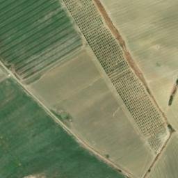 Satellite imagery of survey_point, DZ