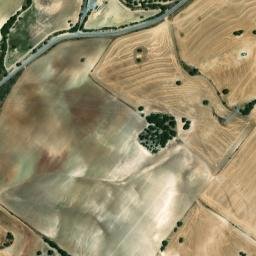 Satellite imagery of survey_point, DZ