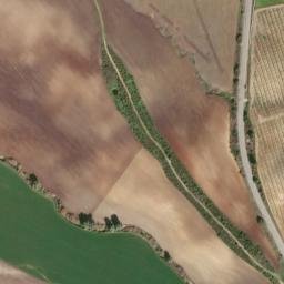 Satellite imagery of survey_point, DZ