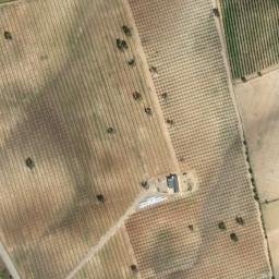 Satellite imagery of survey_point, DZ