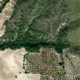 Satellite imagery of survey_point, DZ