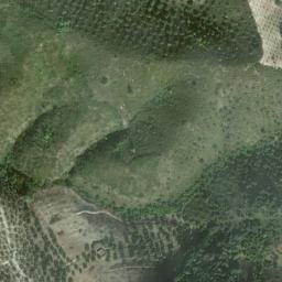 Satellite imagery of survey_point, DZ