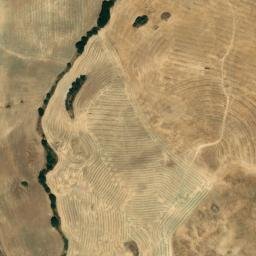Satellite imagery of survey_point, DZ