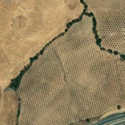 Satellite imagery of survey_point, DZ