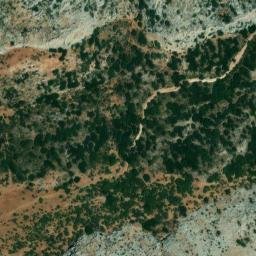 Satellite imagery of survey_point, DZ