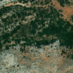 Satellite imagery of survey_point, DZ