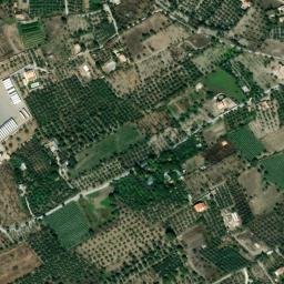 Satellite imagery of survey_point, DZ