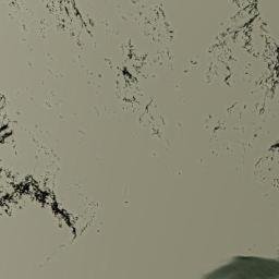 Satellite imagery of Kamalsu, CN