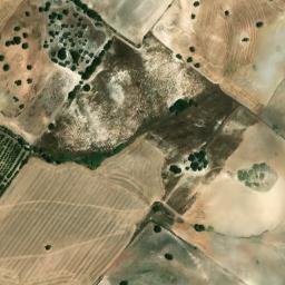 Satellite imagery of survey_point, DZ