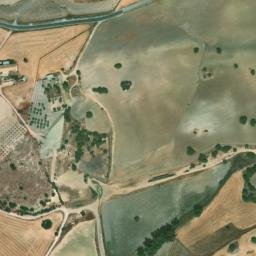Satellite imagery of survey_point, DZ