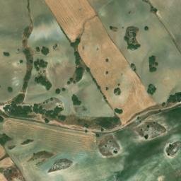 Satellite imagery of survey_point, DZ