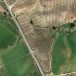 Satellite imagery of survey_point, DZ