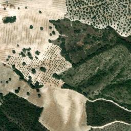Satellite imagery of survey_point, DZ