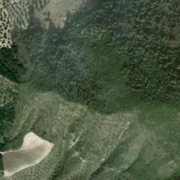 Satellite imagery of survey_point, DZ