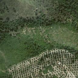 Satellite imagery of survey_point, DZ