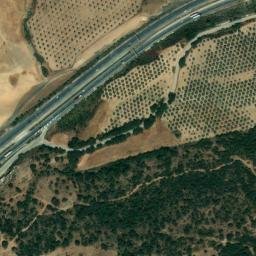 Satellite imagery of survey_point, DZ