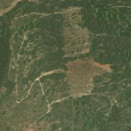 Satellite imagery of survey_point, DZ