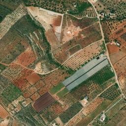 Satellite imagery of survey_point, DZ