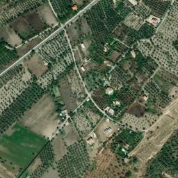 Satellite imagery of survey_point, DZ