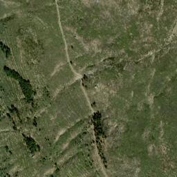 Satellite imagery of survey_point, DZ