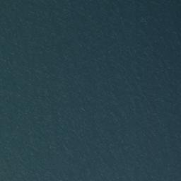 Satellite imagery of survey_point, DZ