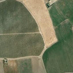 Satellite imagery of survey_point, DZ
