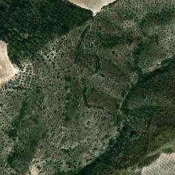 Satellite imagery of survey_point, DZ